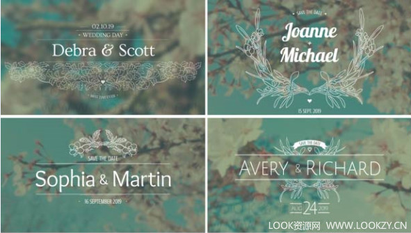AE模板-10种标题文字婚礼电影相册动画元素字幕模板下载