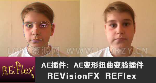 AE插件-AE变形扭曲变脸插件REVisionFX REFlex 5.2.8 Win / Mac免费下载