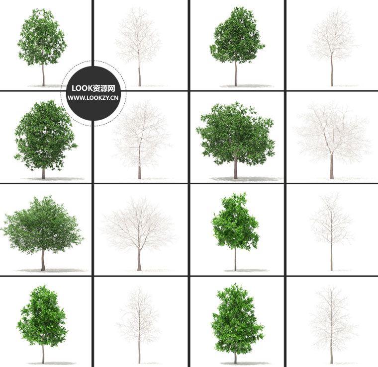 C4D模型-54棵树木3D模型合集包含材质贴图