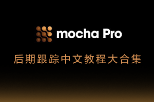 Mocha教程-全网顶级跟踪摄像机反求中文教程合辑