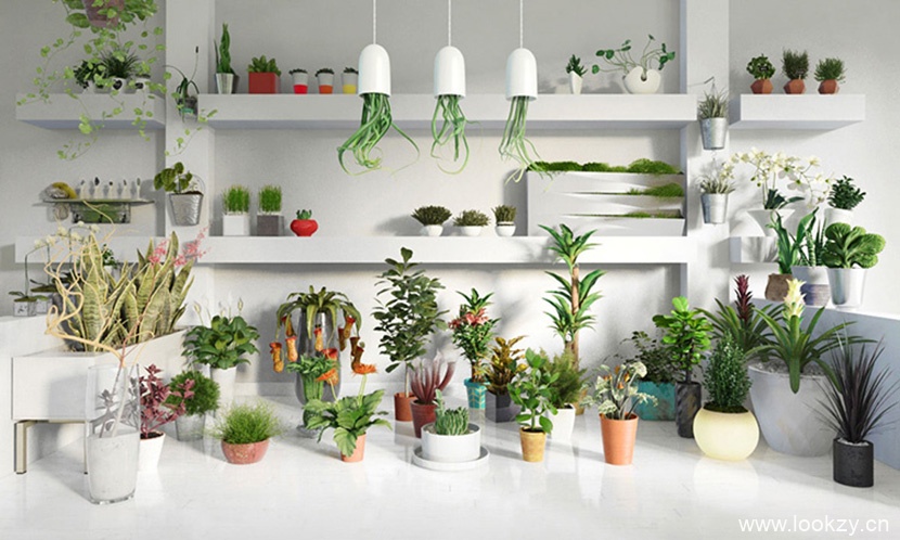 48组室内植物花卉景观3D模型MAX格式合辑室内设计元素